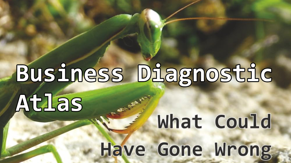 Business Diagnostic Atlas: What Could Have Gone Wrong